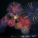 赤色野鶏　以上か以下か　ってこと　(。´･ω･)?